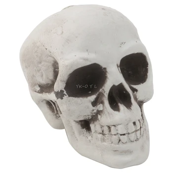 Craniul Decor Prop Cap De Schelet De Plastic Ziua De Halloween Cafea Baruri Ornament